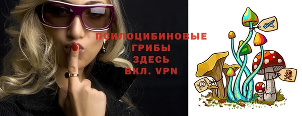 бошки Арсеньев