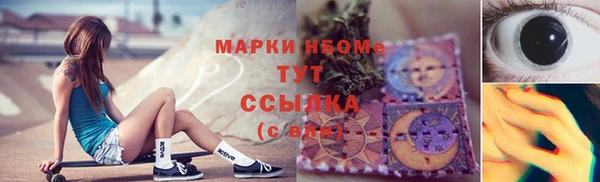 шишки Баксан