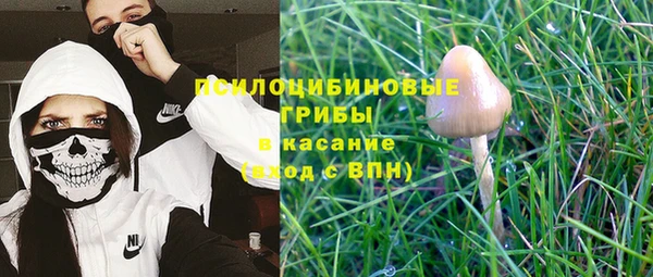 бошки Арсеньев