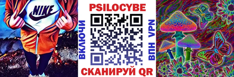 Псилоцибиновые грибы Cubensis  наркота  Стародуб 